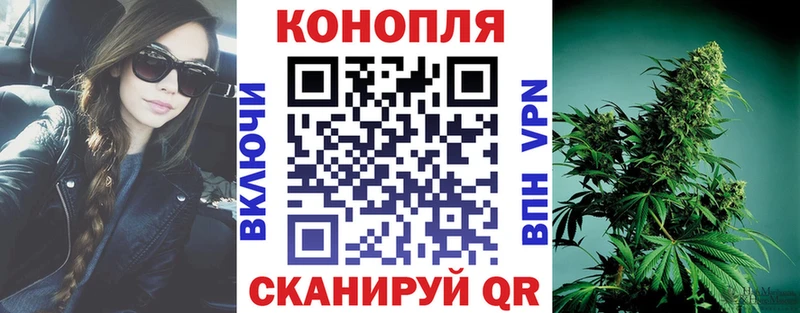 хочу наркоту  Пионерский  Марихуана гибрид 